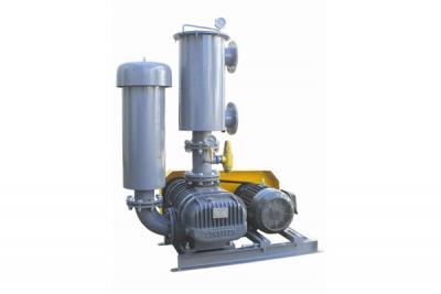 羅茨鼓風(fēng)機