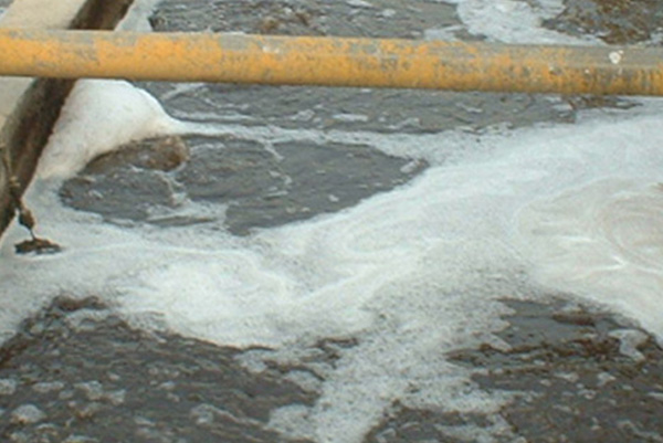 畜禽廢水處理廠家