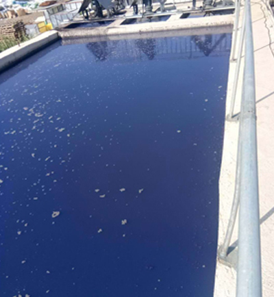 煙臺(tái)裕鵬纖維有限公司印染廢水處理工程