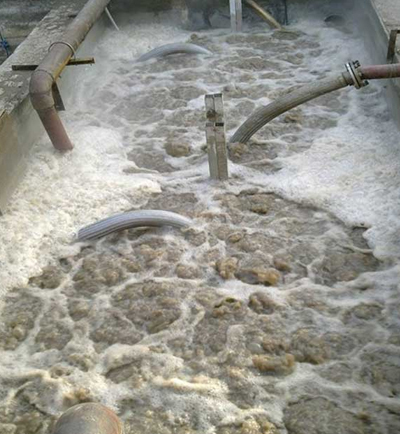 西安下店玉米開發(fā)實(shí)業(yè)有限公司